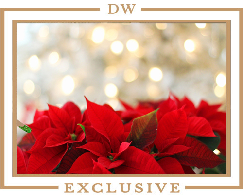 wreath_holiday_arrangement_02