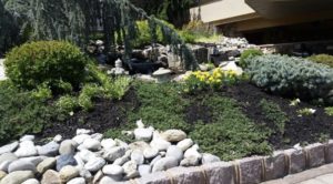 mulch 2