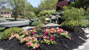 mulch